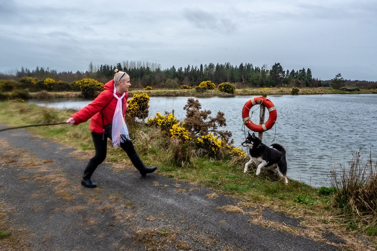 are dogs allowed in discovery park