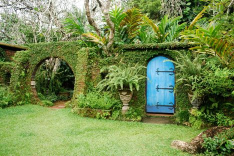 Brief Garden.