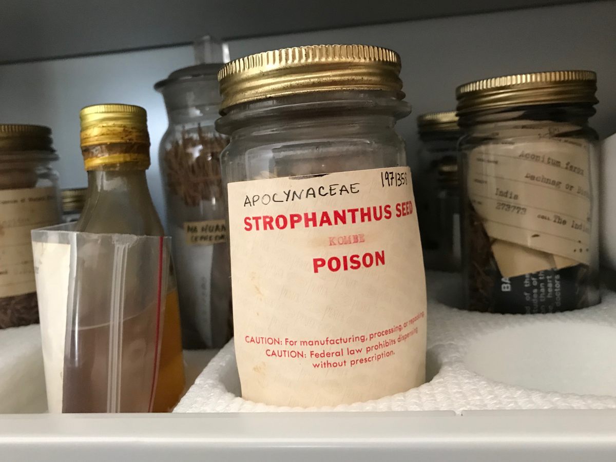 Poisonous plants are kept in a locked cabinet.