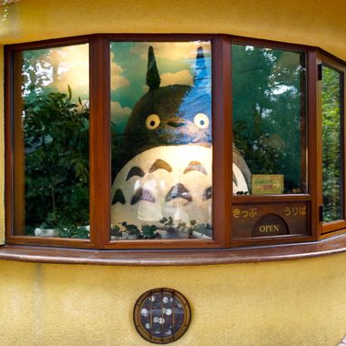 Totoro stares out