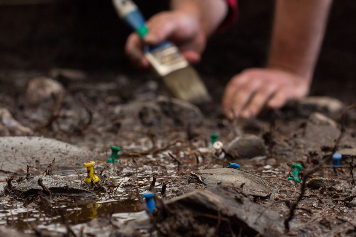 Excavation at Estancia Moat is muddier than at most sites along the Beagle Channel/Onashaga because it’s not a shell midden. The dig revealed ancient tools never before found in the region—stones with holes picked out of the middle.