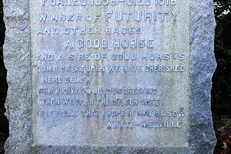 The headstone of Thoroughbred racehorse Martimas.