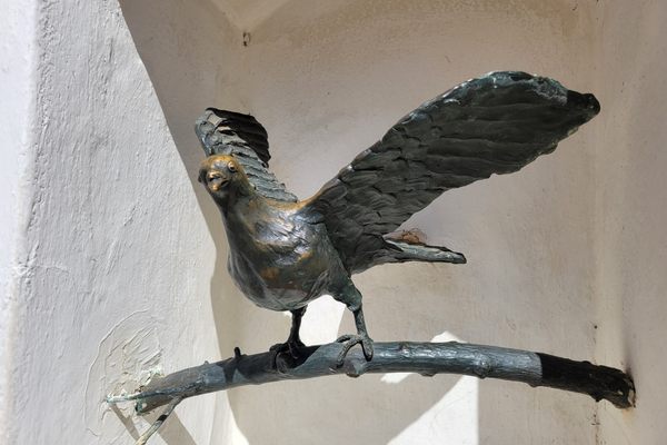 The Golden Dove up close