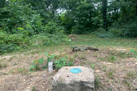 A Geological Survey mark posts the elevation.