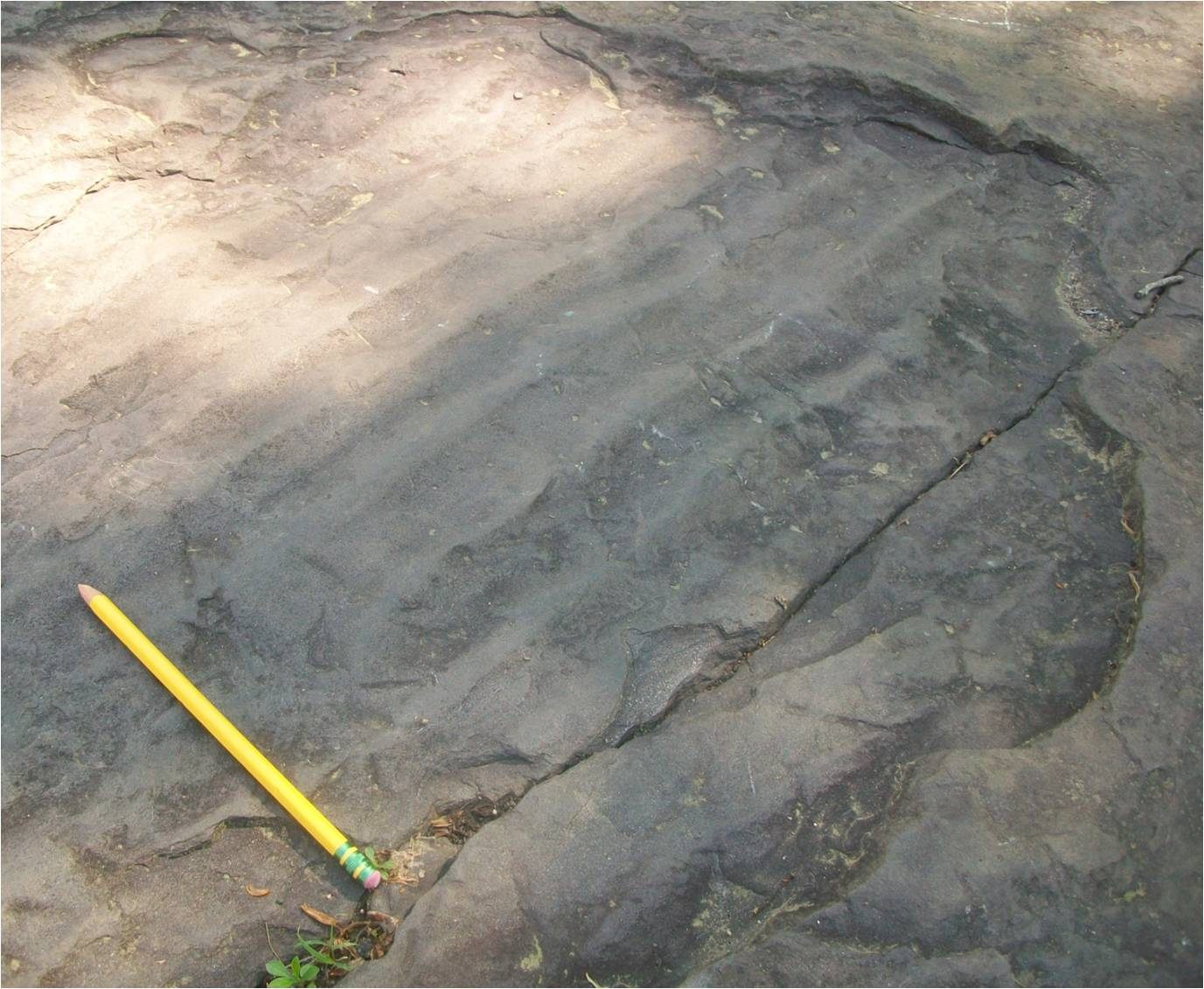 Ripple marks preserved in Holyoke, Massachusetts.