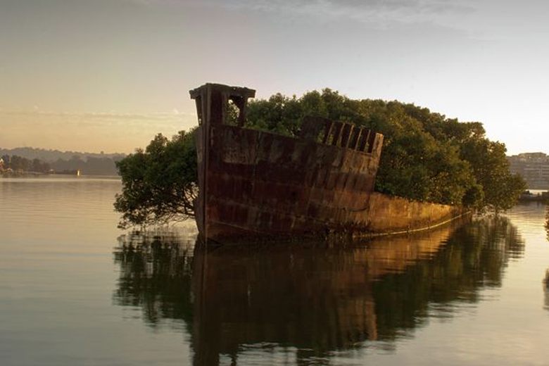 SS Ayrfield – Wentworth Point, Australia - Atlas Obscura