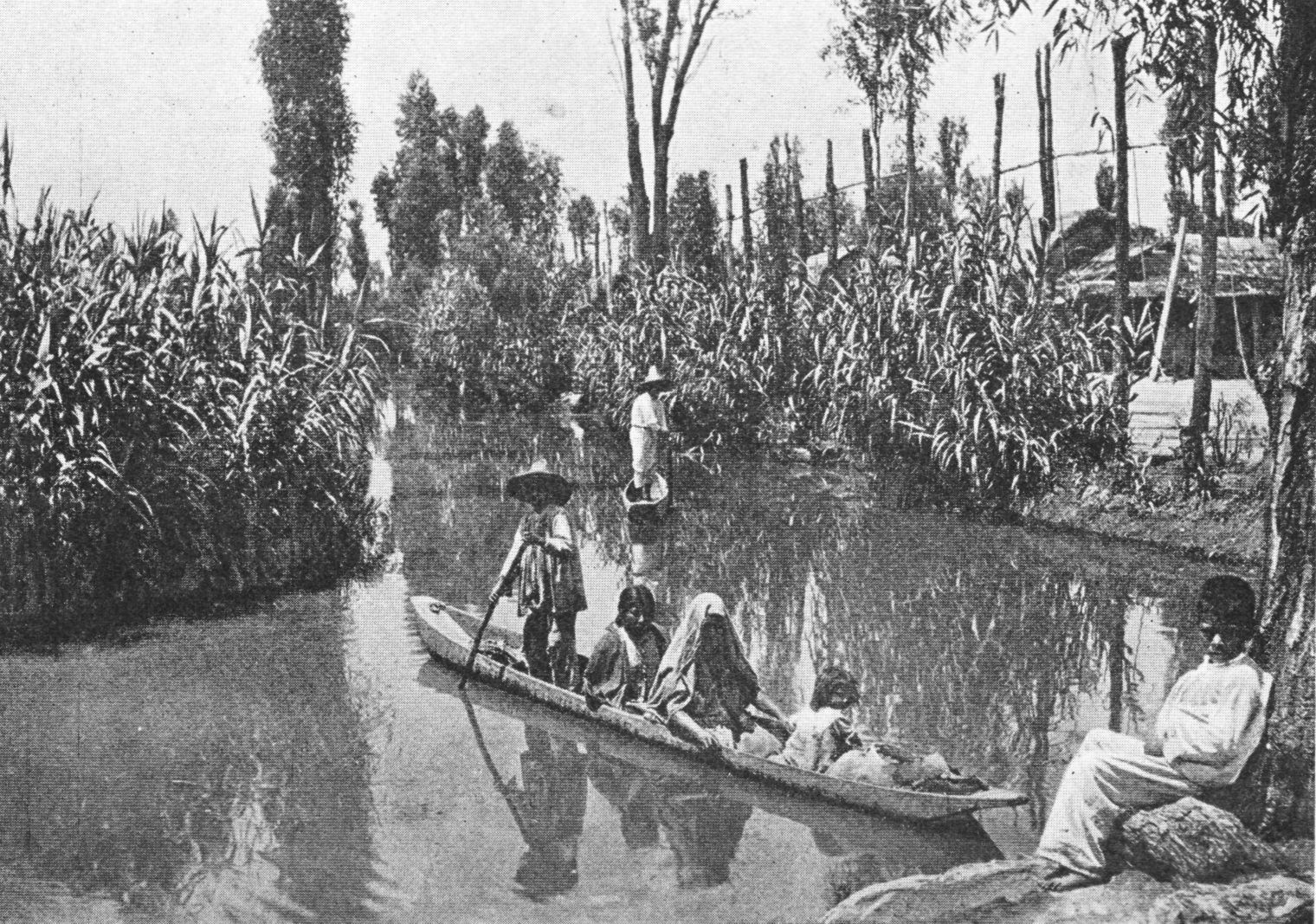 A photograph of chinampa agriculture, 1912.