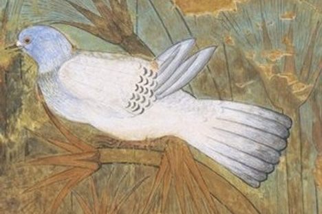 Did Ancient Egypt Have a Pigeon Problem?