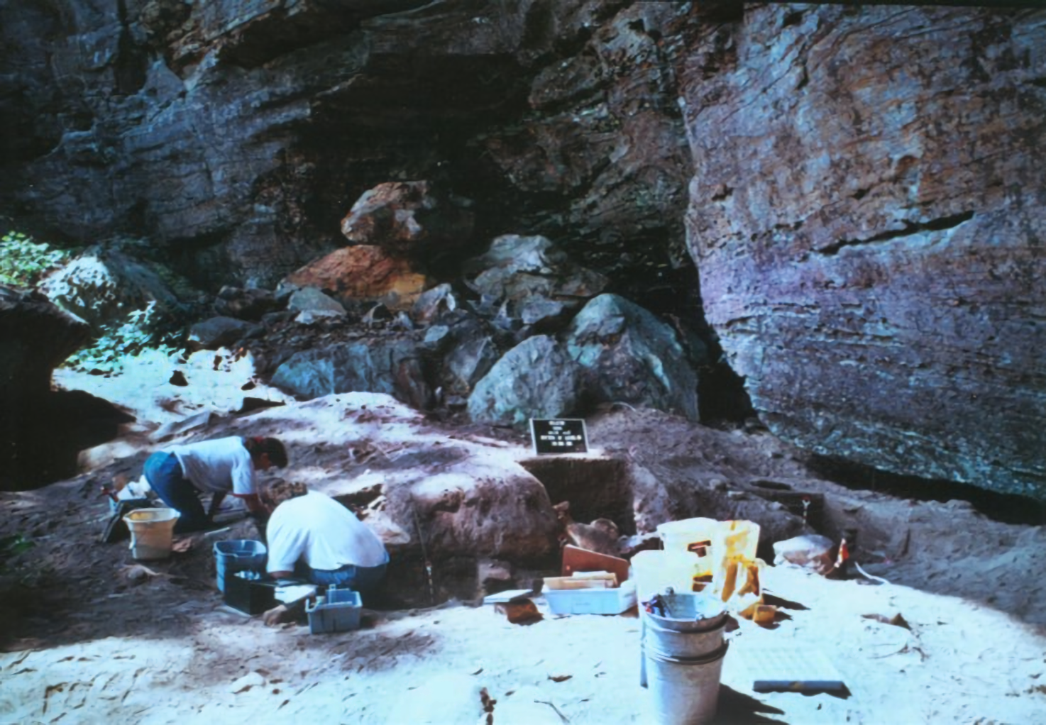 Excavations at Cold Oak Shelter in Kentucky revealed signs of intricate plant domestication in BC times.
