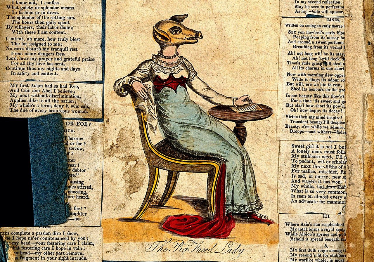 This colored engraving purported to show Miss Atkinson, an upper-class woman with a pig's head.