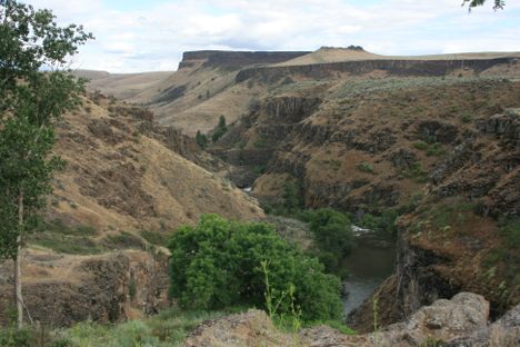White River Canyon below the falls.