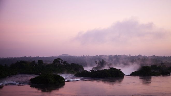 Monster of the Month w/ Colin Dickey: Mokele-Mbembe - Atlas Obscura  Experiences