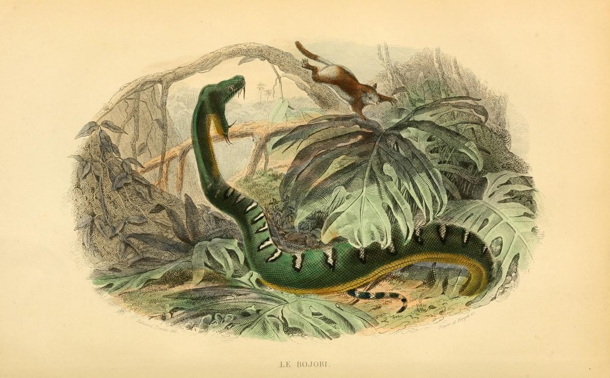 Some of the illustrations are quite dramatic.