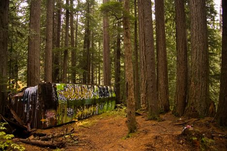 Whistler Train Wreck
