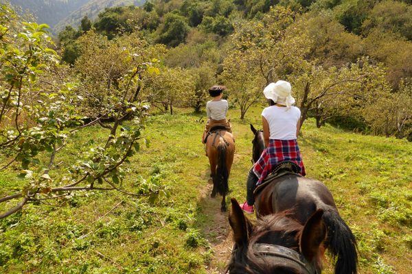 Riding on horseback through wild apple groves outside Almaty.