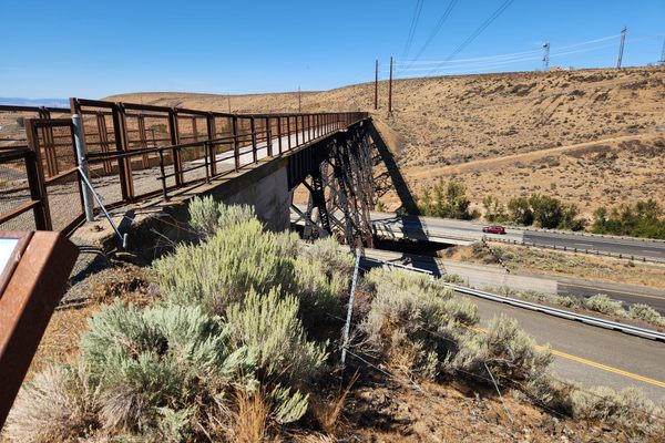 The trestle from off the southeast abutment.