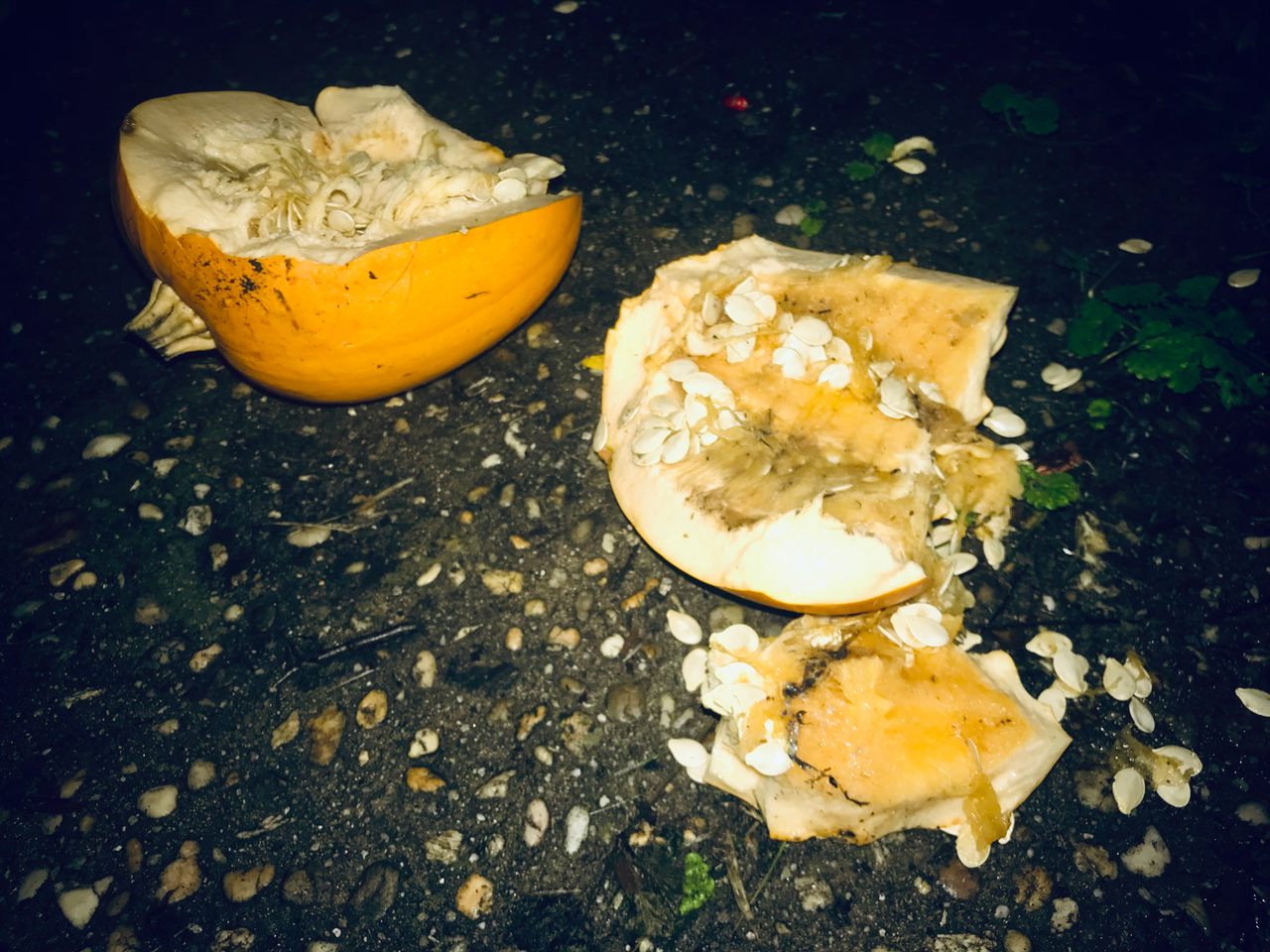 A smashed pumpkin might be the trick, regardless of the presence of a treat. 