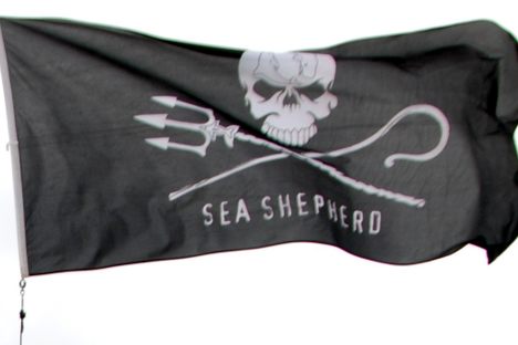 Notorious Poaching Vessel Captured After Years On The Run