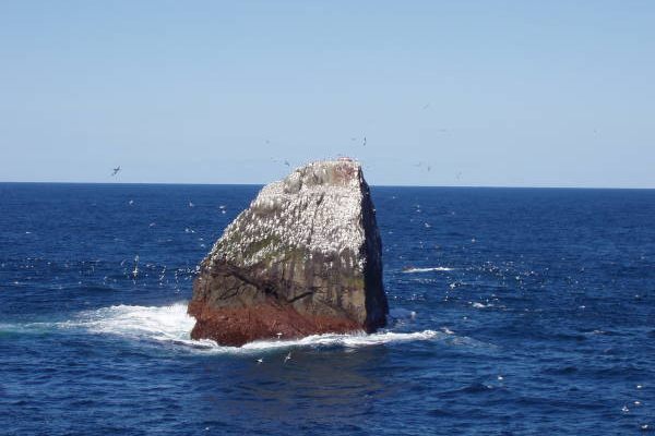 Rockall viewed from the south. 
