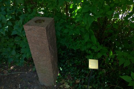 The Lagom Standard Measure