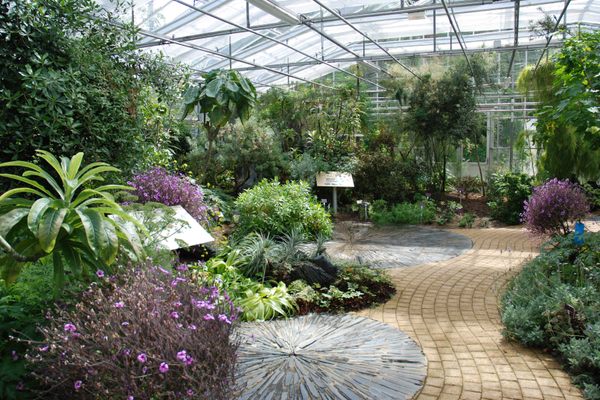 Inside one of the tropical greenhouses.
