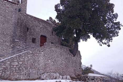 The hermitage with the enormous holm oak tree