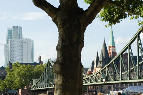 People enjoying a peaceful day near the Eiserner Steg in Frankfurt