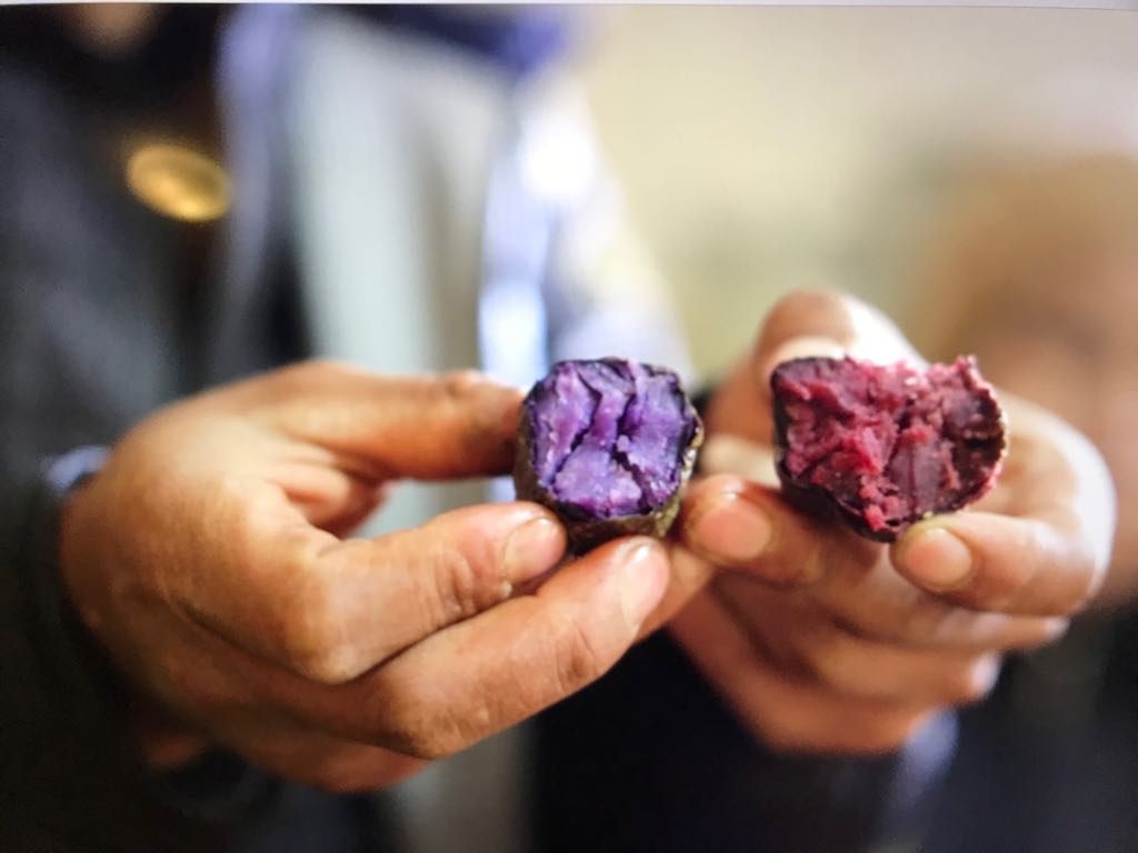 Bravo delights in slicing potatoes in half to display their vibrant innards.
