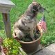rosemarywc profile photo