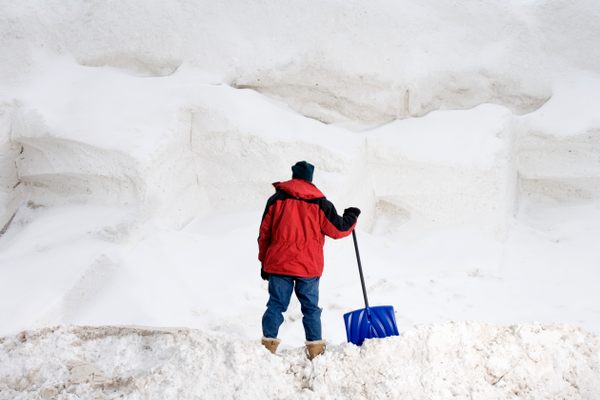 How much snow has fallen in your neighborhood? It always seems like more when you're shoveling it.