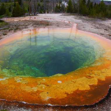 Morning Glory pool at Yellowstone National Park