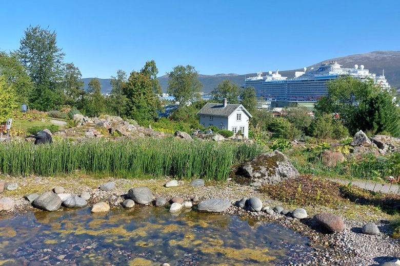Arctic Alpine Botanic Garden