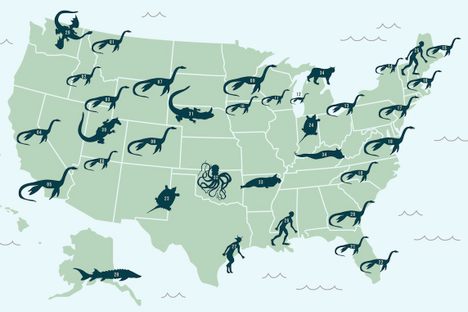 The Lake Monsters of America