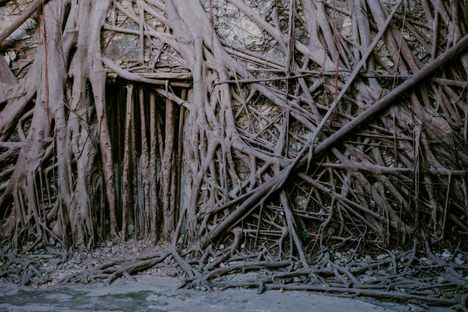 A former doorway in the Anping Tree House.