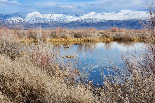 Stillwater marshes, with Stillwater Range beyond.  Looking east.