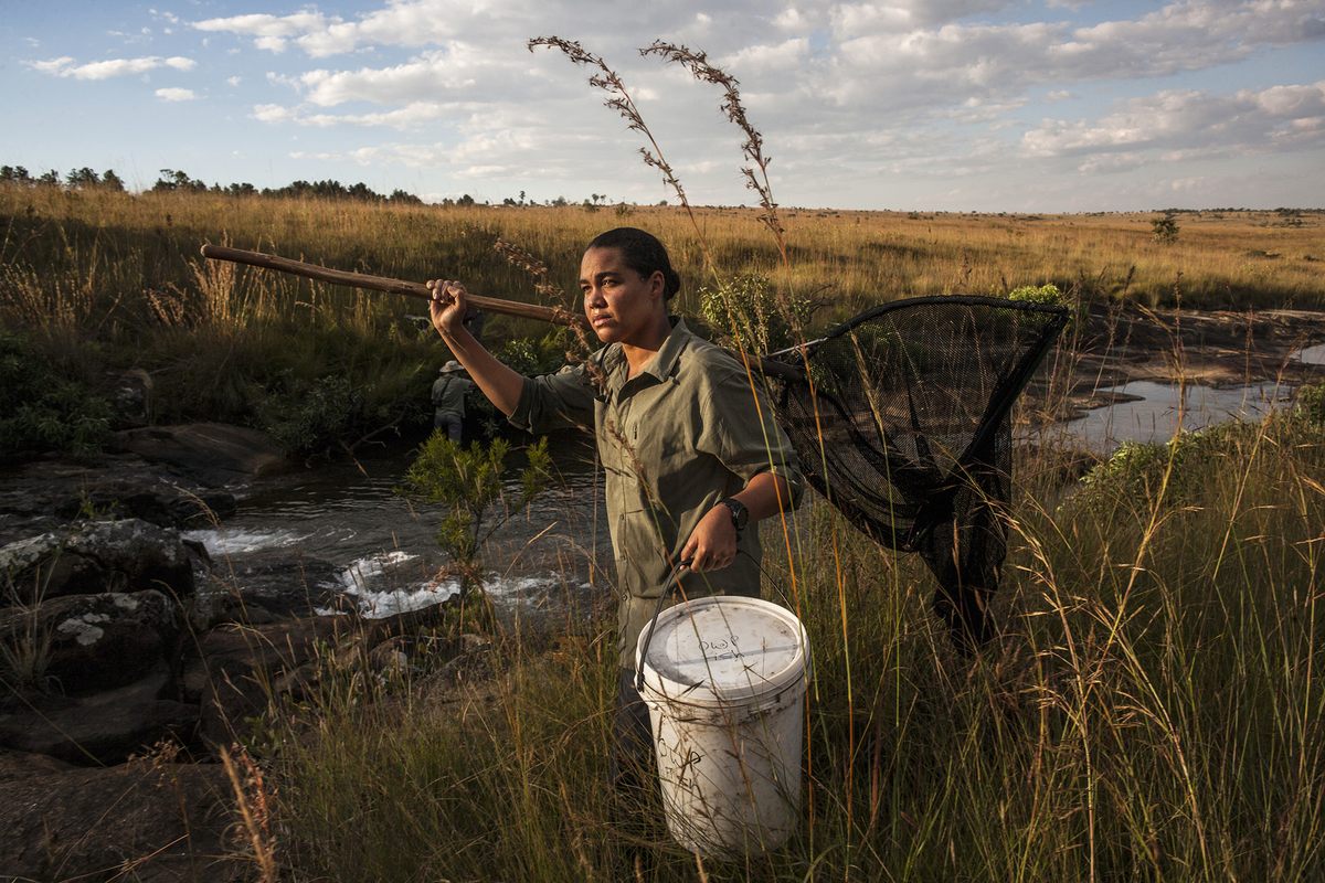 Adjany Costa collects plant and water samples near the source of the Cubango River.