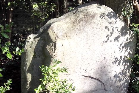 Druid Stone