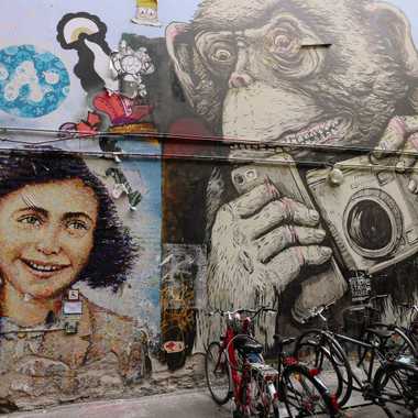 Anne Frank by Jimmy C, next to an ape holding a phone and a camera