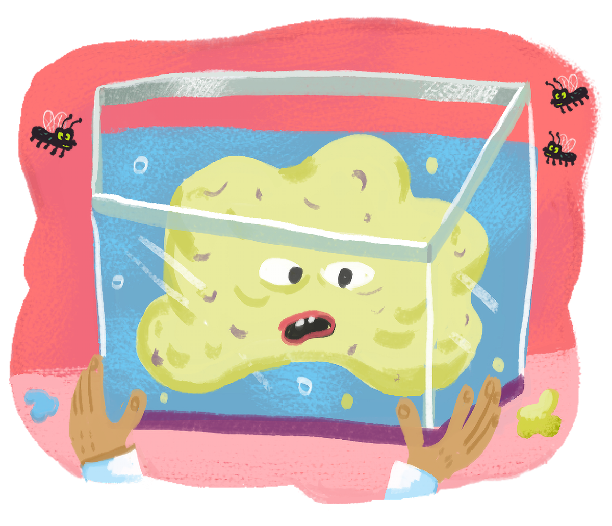 Scientists used aquariums to transport chunks of a Michigan fatberg in 2018.