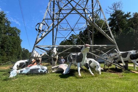 Cow Tower