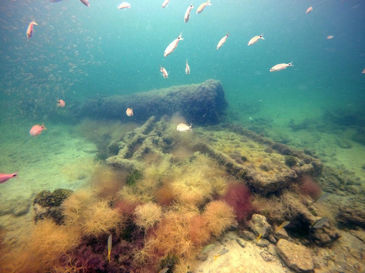 No other ships that carried enslaved Maya people have been previously found.