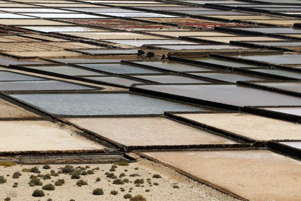 Salinas de Janubio
