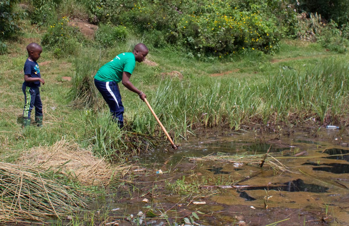 A young volunteer gets in on the act, looking on as Friends' Chairman David Wakogy does some routine cleaning.