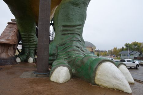 The World's Largest Dinosaur some big toes