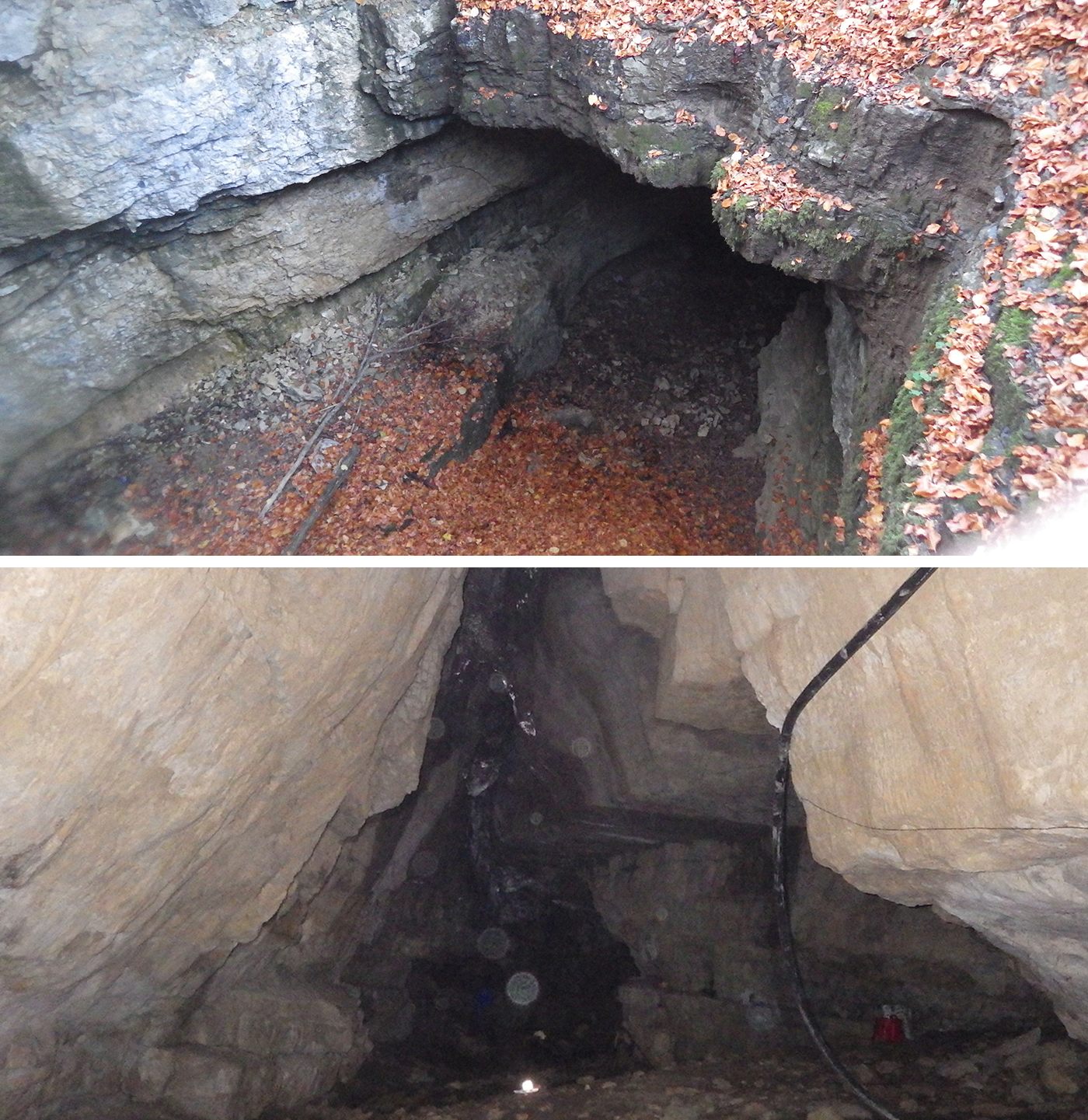 The entrance (top) of Bùs del Budrio, and the interior before habitat restoration (bottom). The water-diverting pipe can be seen on the right.