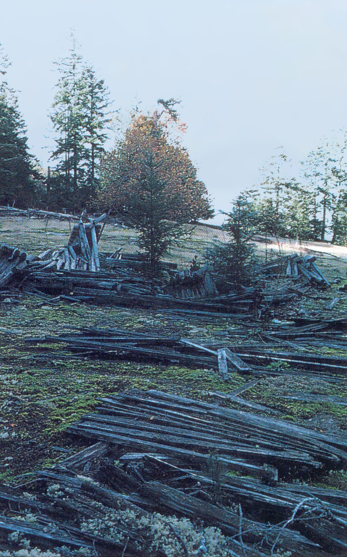 Collapsed cabins on Valdes Island.