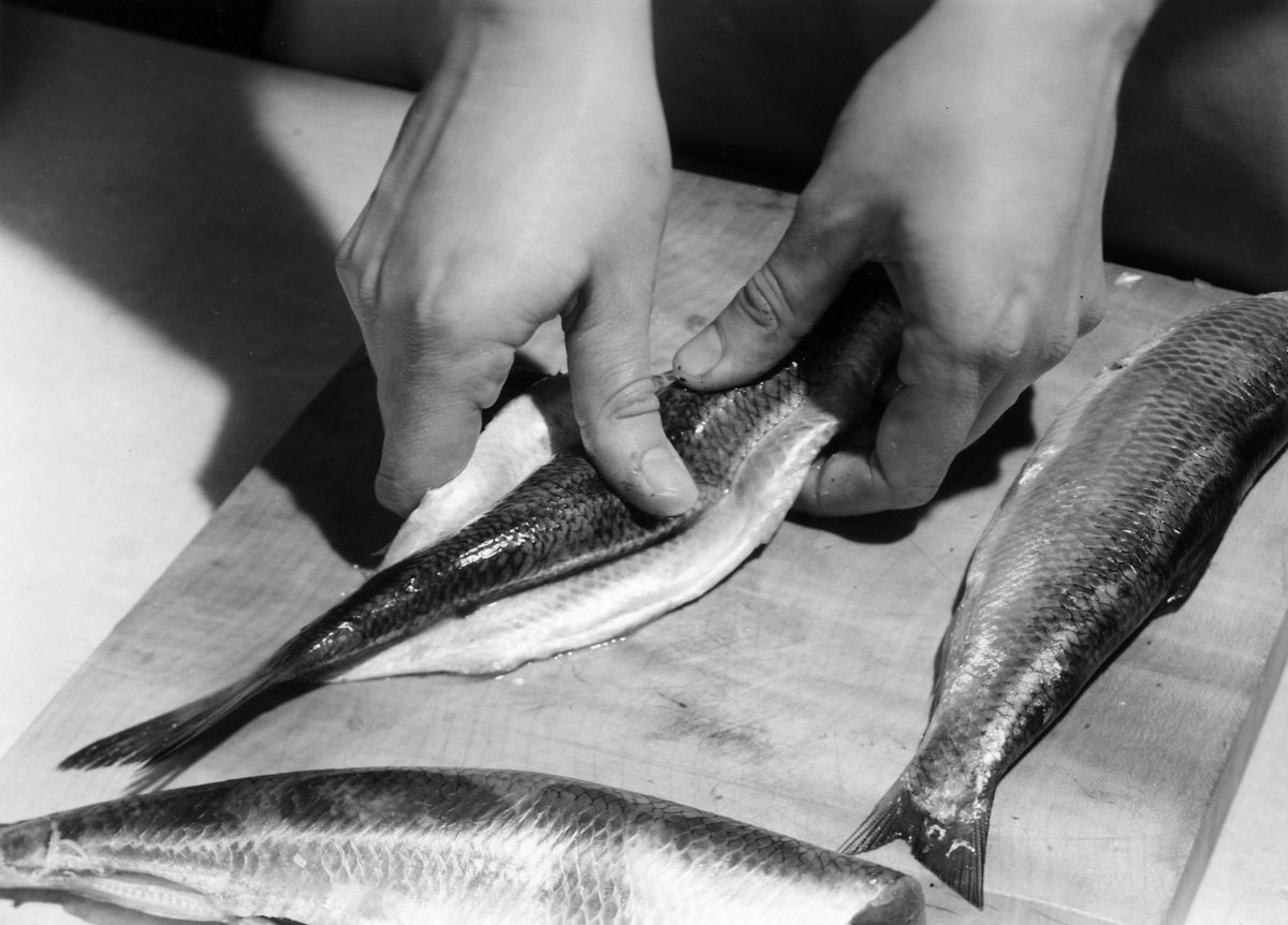 Spencer wanted Americans to learn how to cook fish, but also where to find it, when to buy it, and how to debone and filet it.