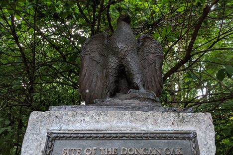 Site of the Dongan Oak