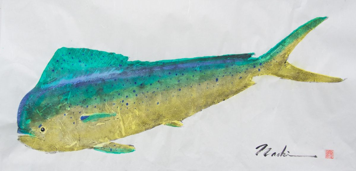 A mahi-mahi, or common dolphinfish.