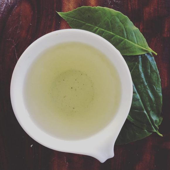Guayusa tea with leaves.